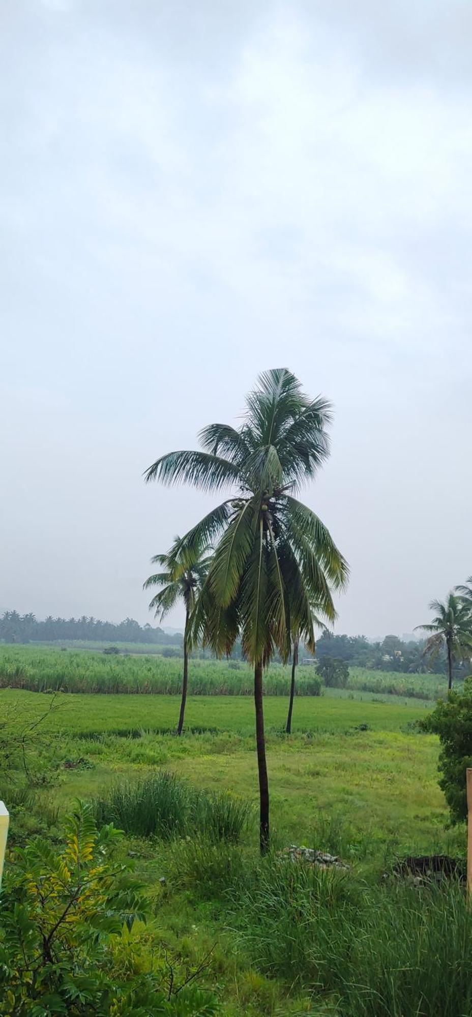 Raj Homestay Hampi Esterno foto